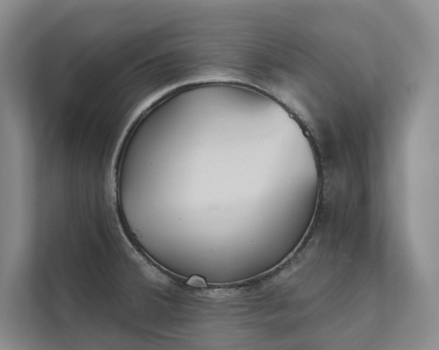 X0000111481380200907210940