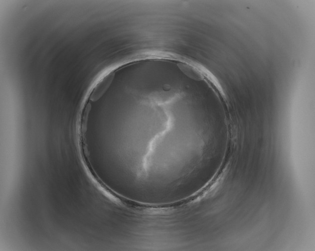 X0000111481381200907210940