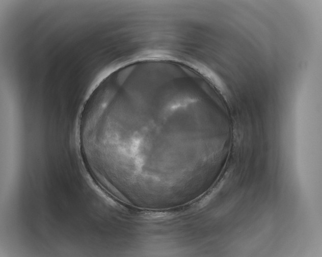 X0000111481382200907210940