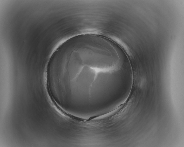 X0000111481383200907210940