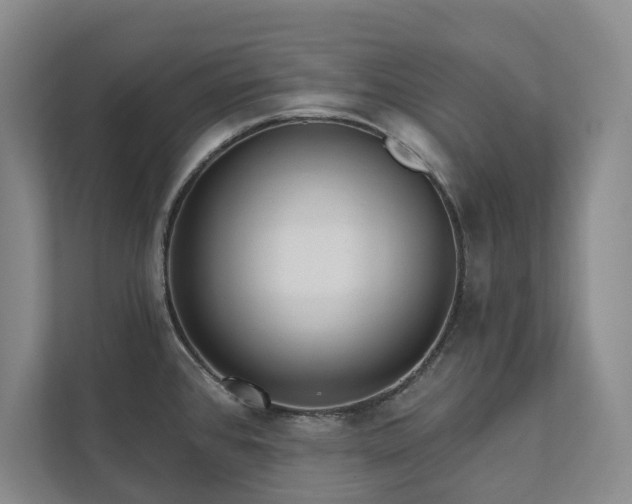 X0000111481384200907210940