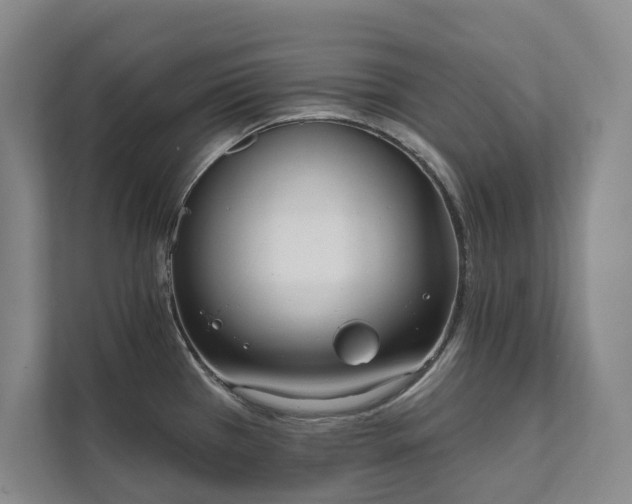 X0000111481385200907210940