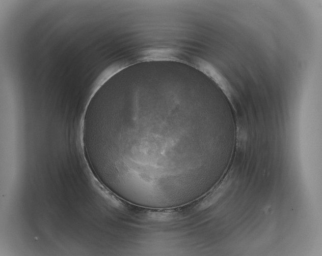 X0000111481386200907210940