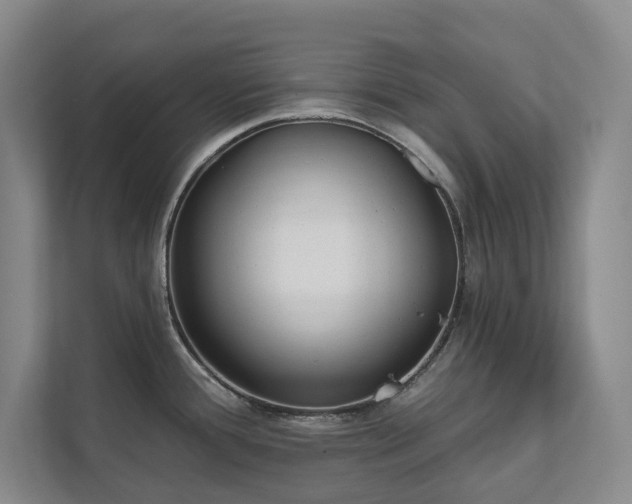 X0000111481388200907210940