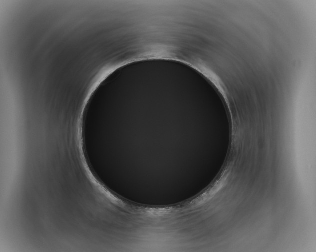 X0000111481389200907210940