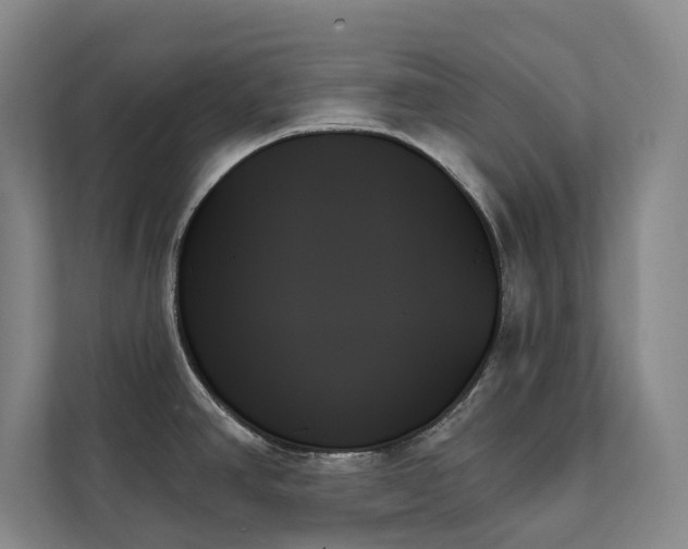 X0000111481390200907210940
