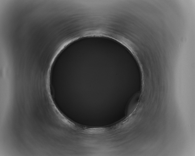 X0000111481392200907210940