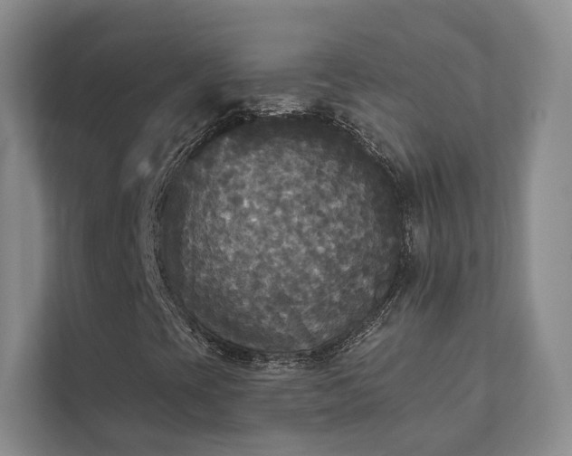 X0000111481393200907210939