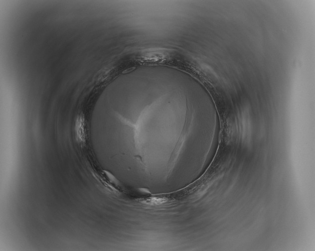X0000111481394200907210939
