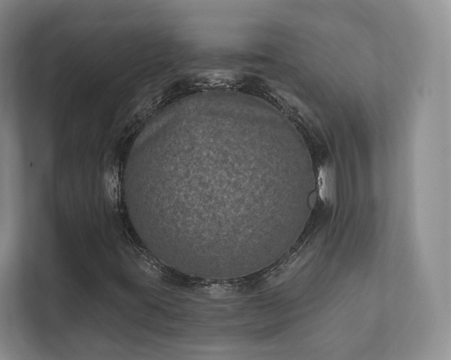 X0000111481395200907210939