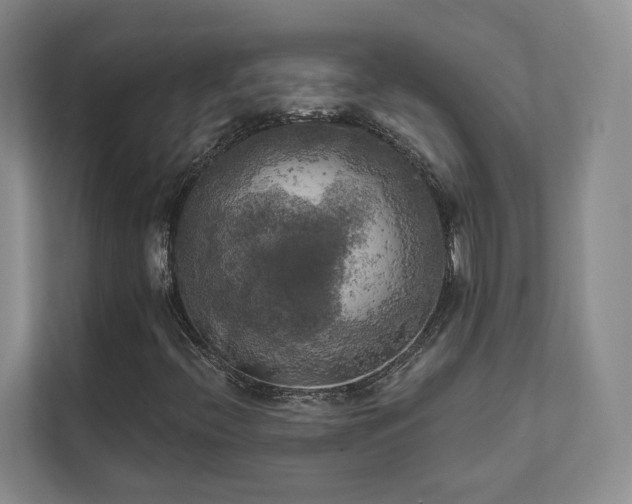 X0000111481396200907210939