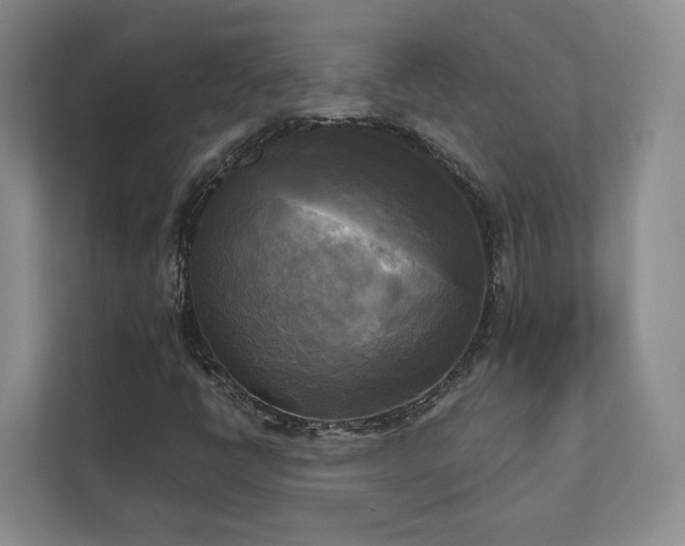 X0000111481398200907210939