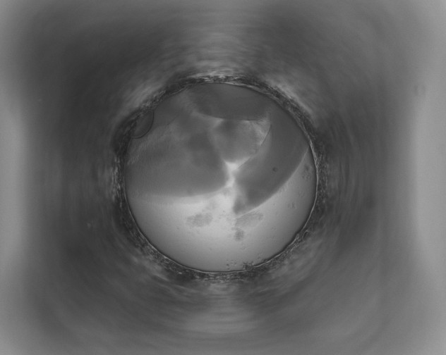 X0000111481399200907210939