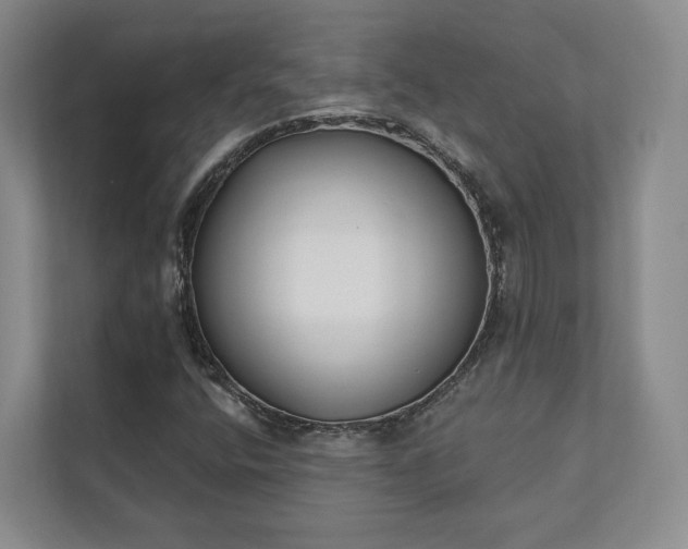 X0000111481400200907210939