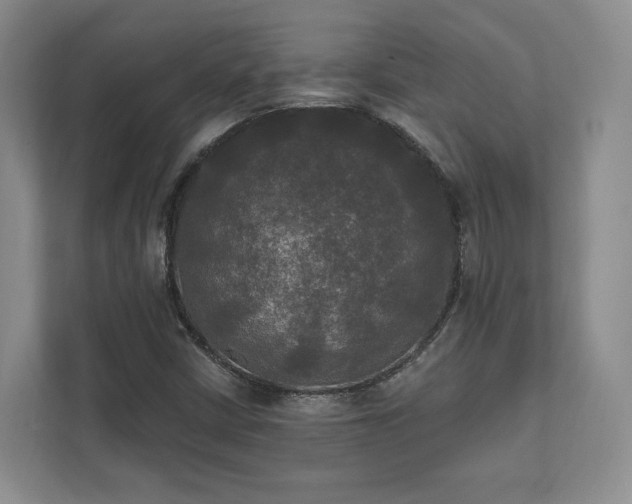 X0000111481402200907210939
