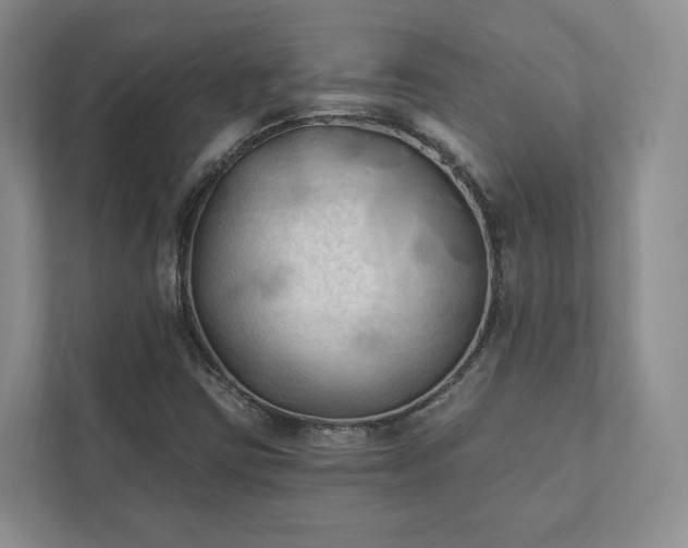 X0000111481403200907210939