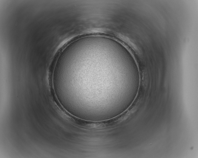 X0000111481404200907210939
