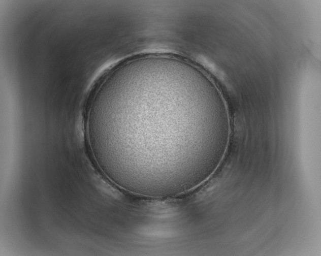 X0000111481408200907210939