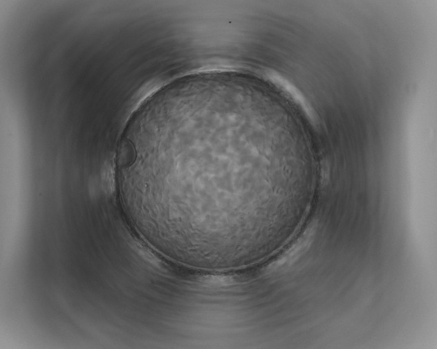 X0000111481409200907210939