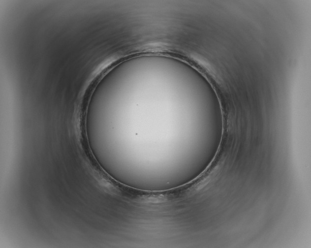 X0000111481410200907210939