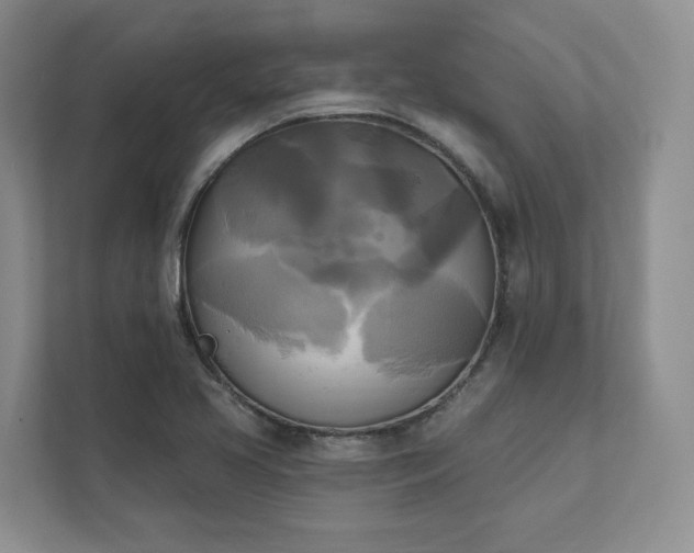 X0000111481413200907210939
