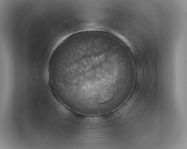 X0000111481415200907210939