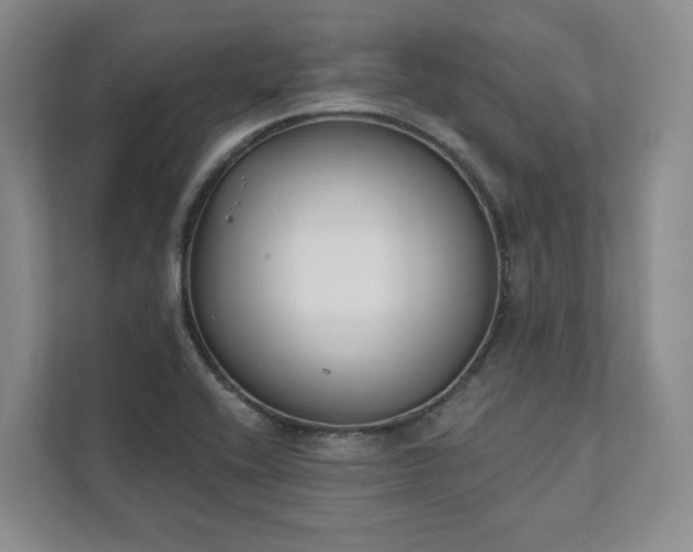 X0000111481416200907210939
