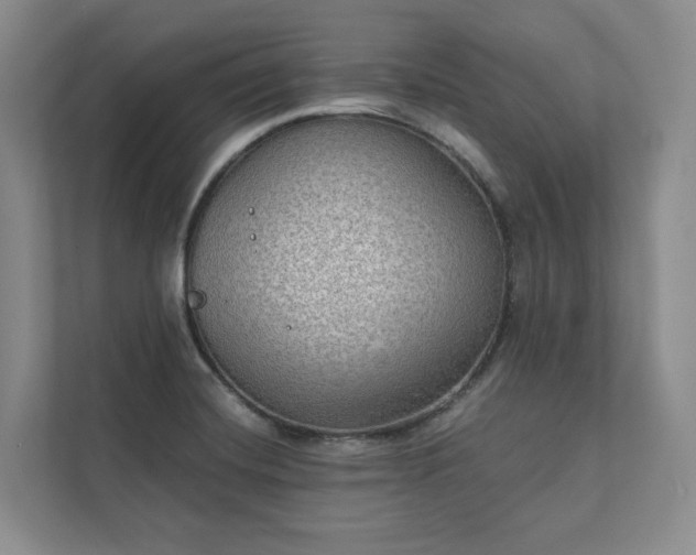 X0000111481420200907210939