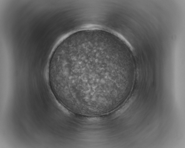 X0000111481421200907210939