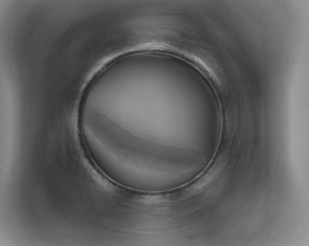 X0000111481422200907210939