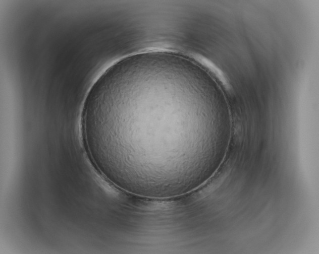 X0000111481423200907210939