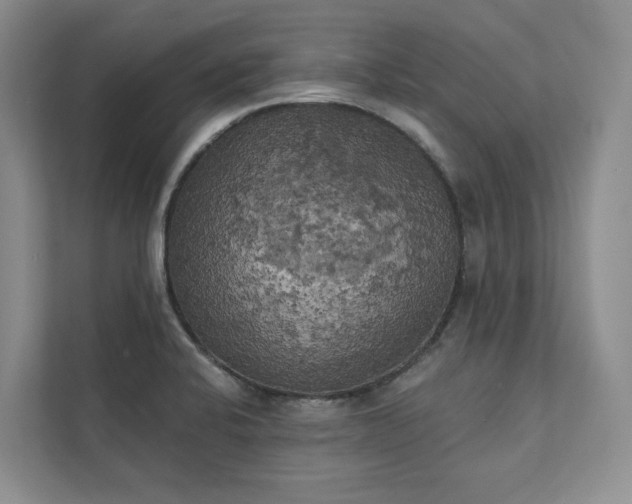 X0000111481424200907210939