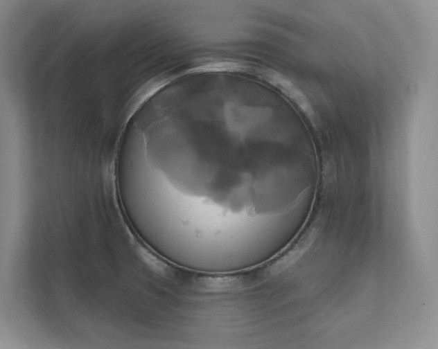 X0000111481425200907210939