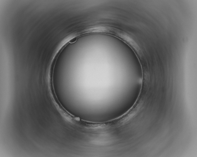 X0000111481426200907210939