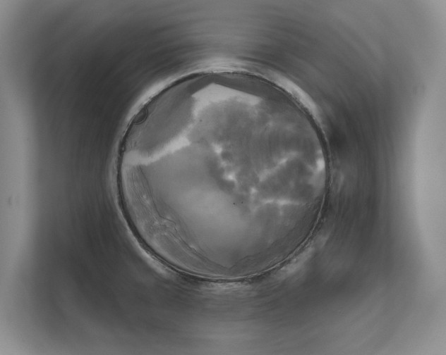 X0000111481429200907210939