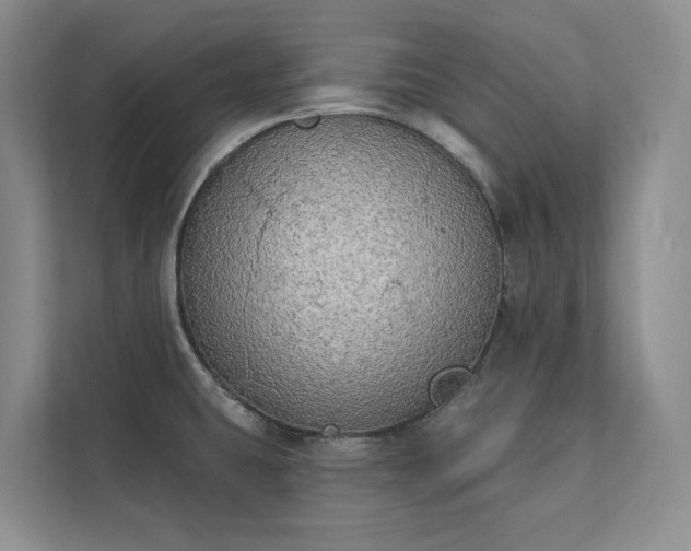 X0000111481431200907210939