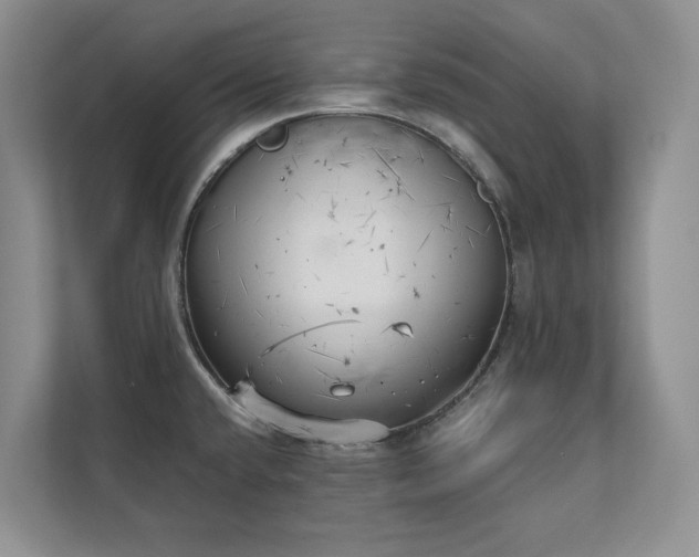 X0000111481432200907210939