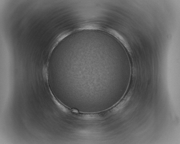 X0000111481433200907210939