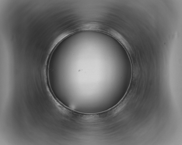 X0000111481434200907210939
