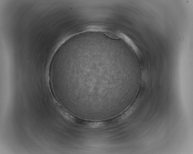 X0000111481435200907210940