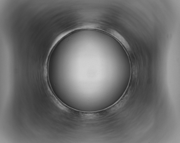 X0000111481436200907210940