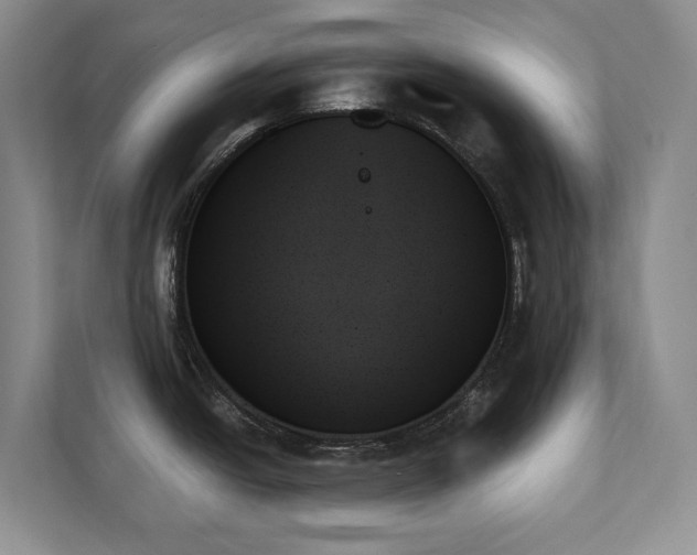 X0000111481438200907210940