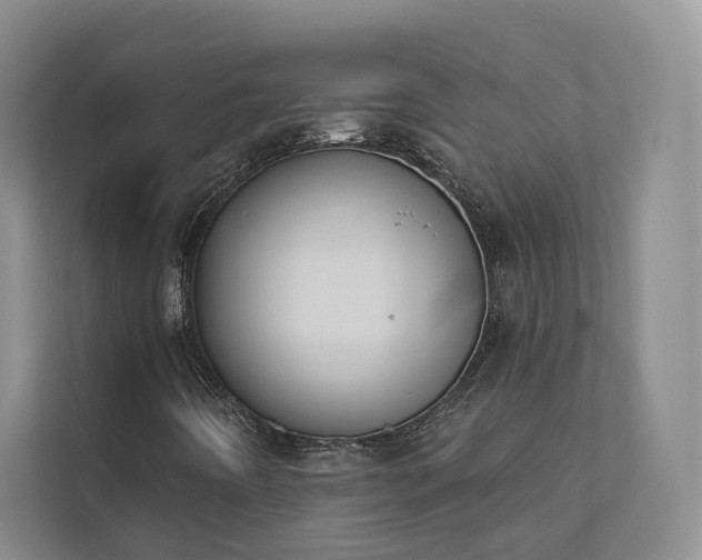 X0000111481442200907210939