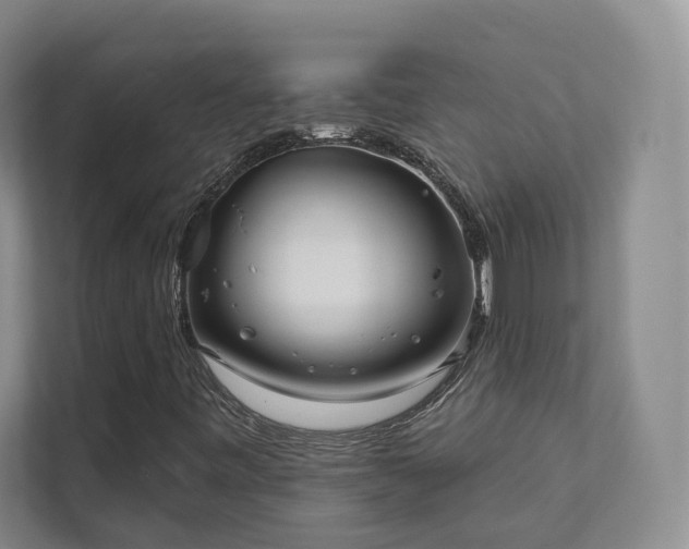 X0000111481443200907210939