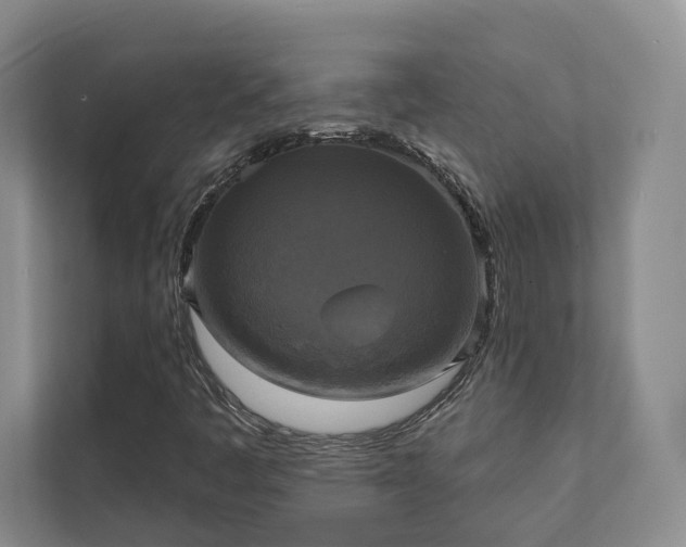 X0000111481445200907210939
