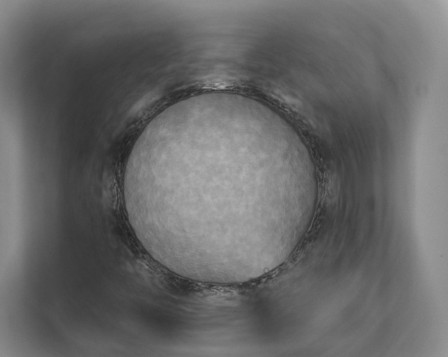 X0000111481446200907210939