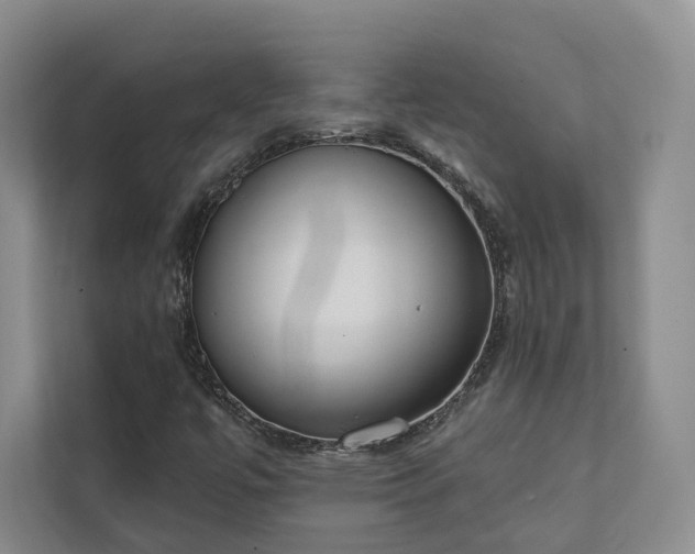 X0000111481447200907210939