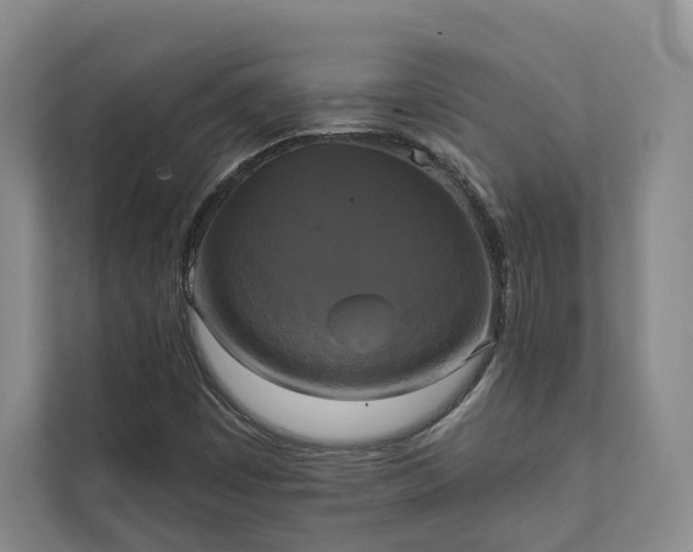 X0000111481449200907210939