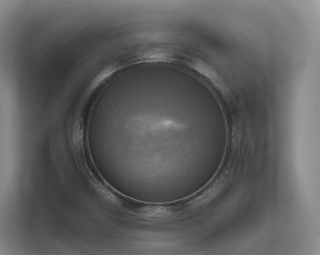X0000111481450200907210939