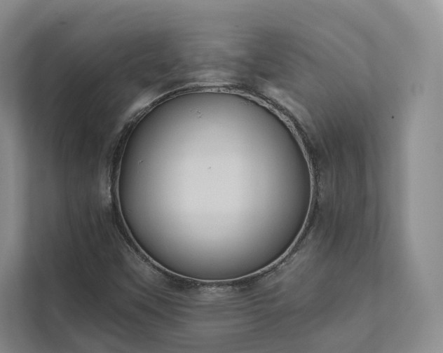 X0000111481451200907210939